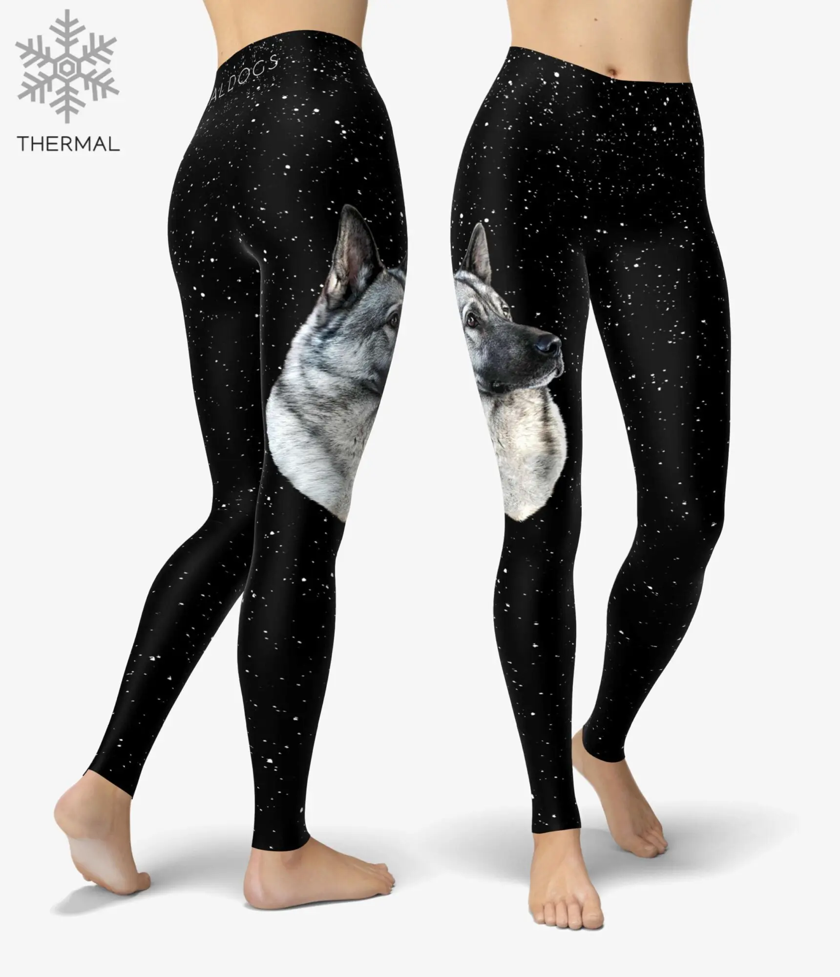 Norwegian Elkhound Stars Thermal