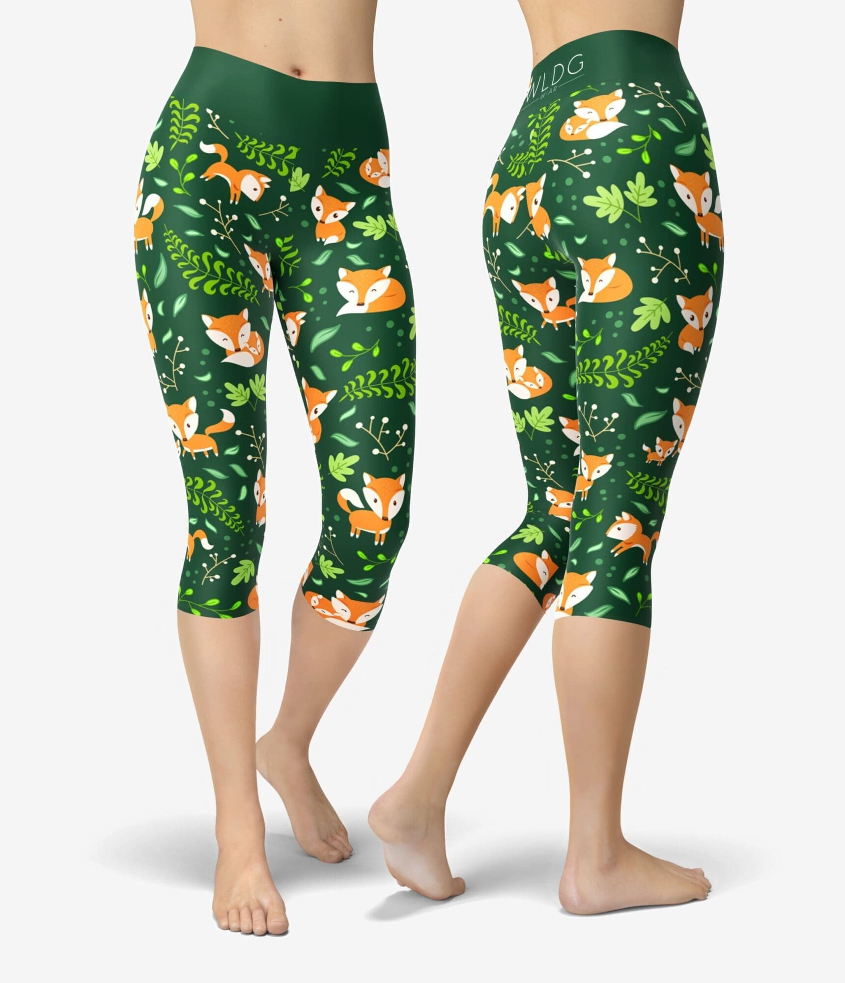 Metsänkettu Capri