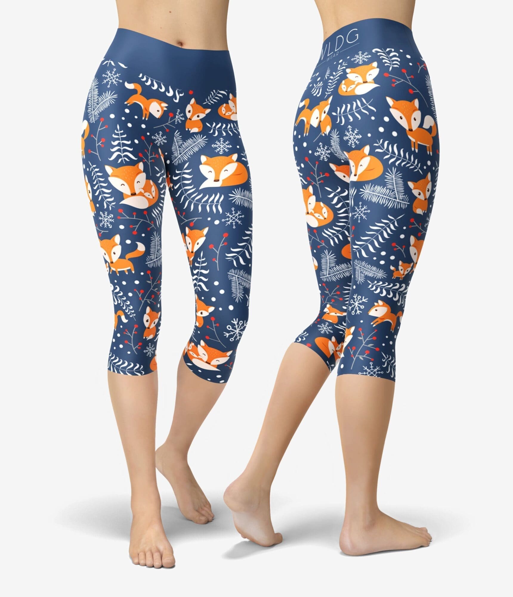 Talvikettu Capri
