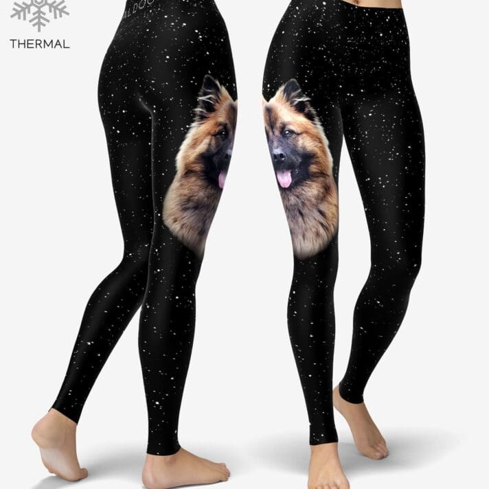 Eurasier Stars Thermal