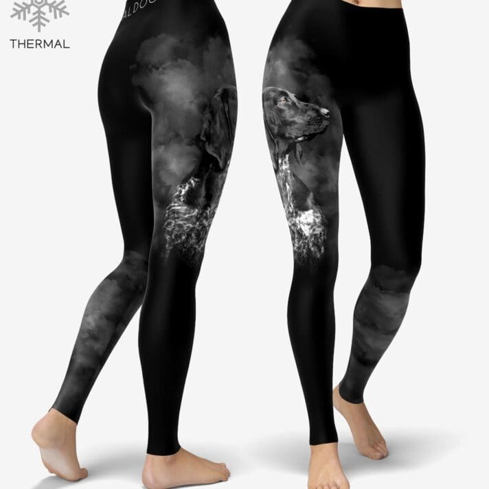 German Pointer Smoke Thermal