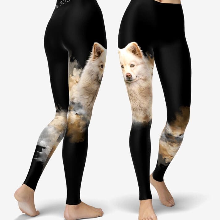 Lapphund IV Creamburst Urheilutrikoot