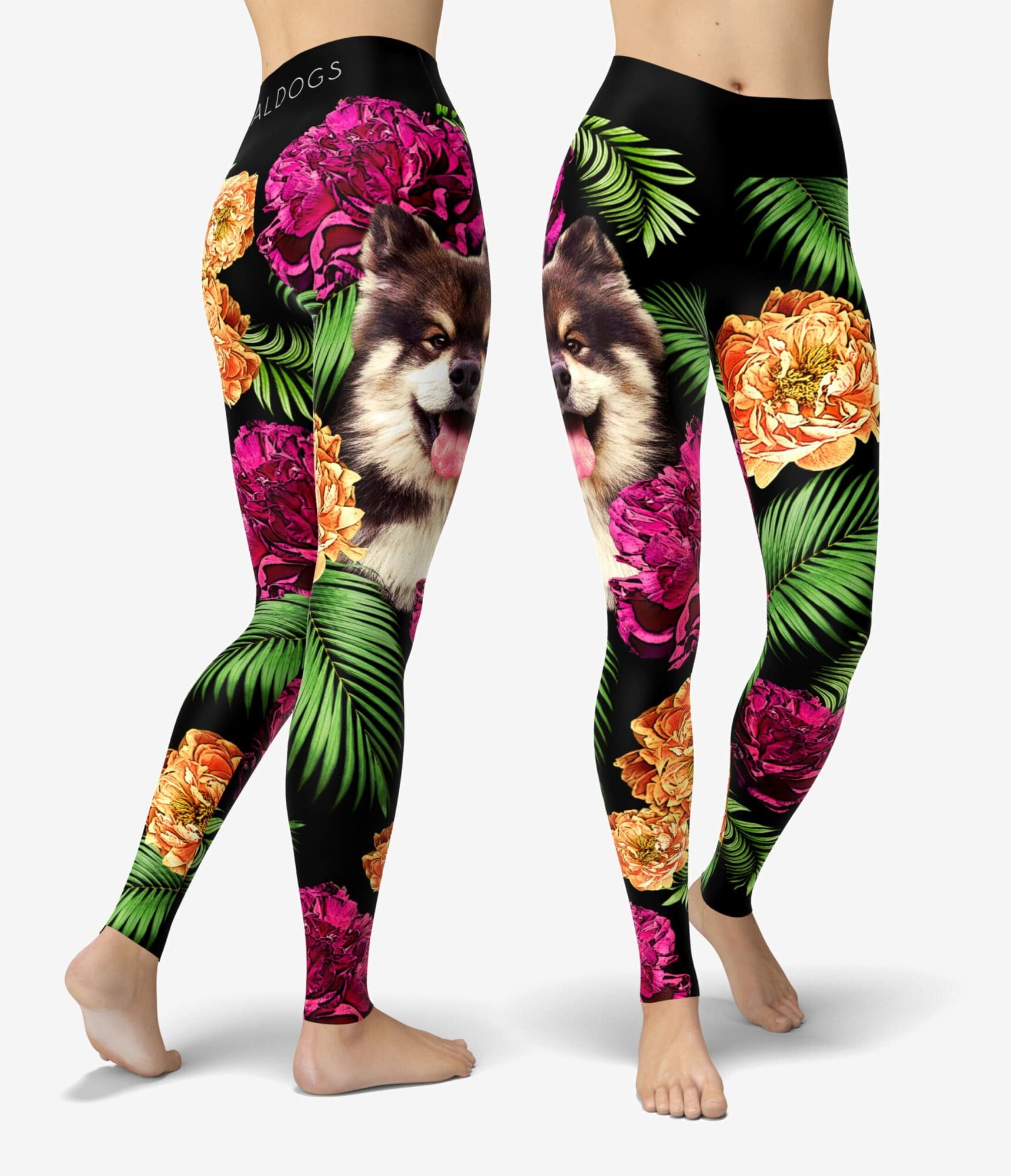 Lapphund V Tropical Urheilutrikoot