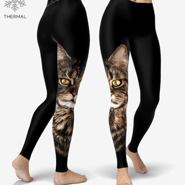 Maine Coon Thermal