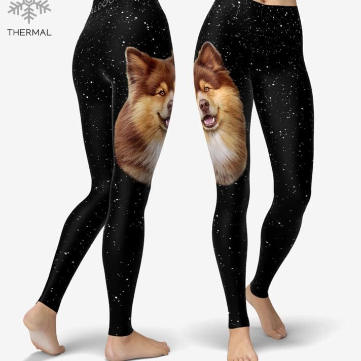 Lapphund II Stars Thermal