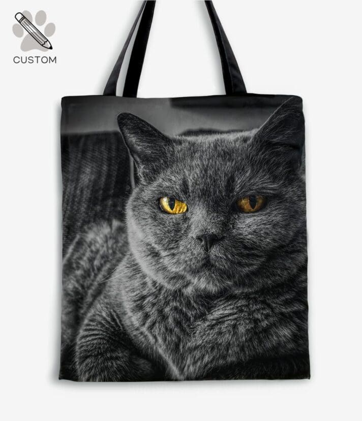 Vahvis Custom Kangaskassi II