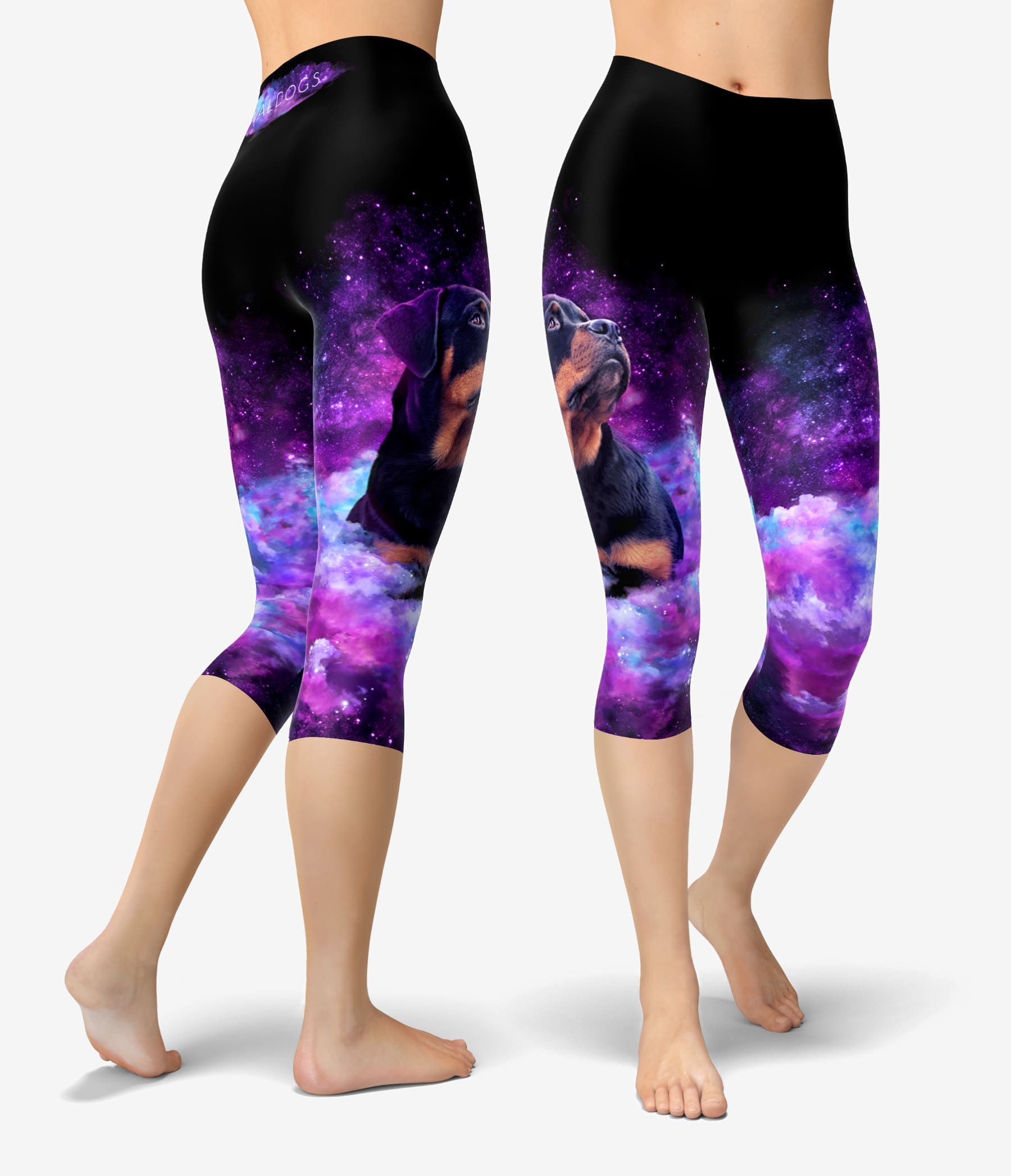 Rottweiler Dream Urheilucaprit