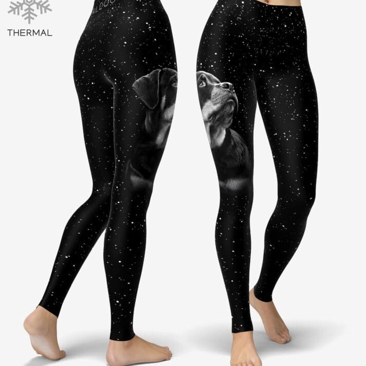 Rottweiler Stars Thermal
