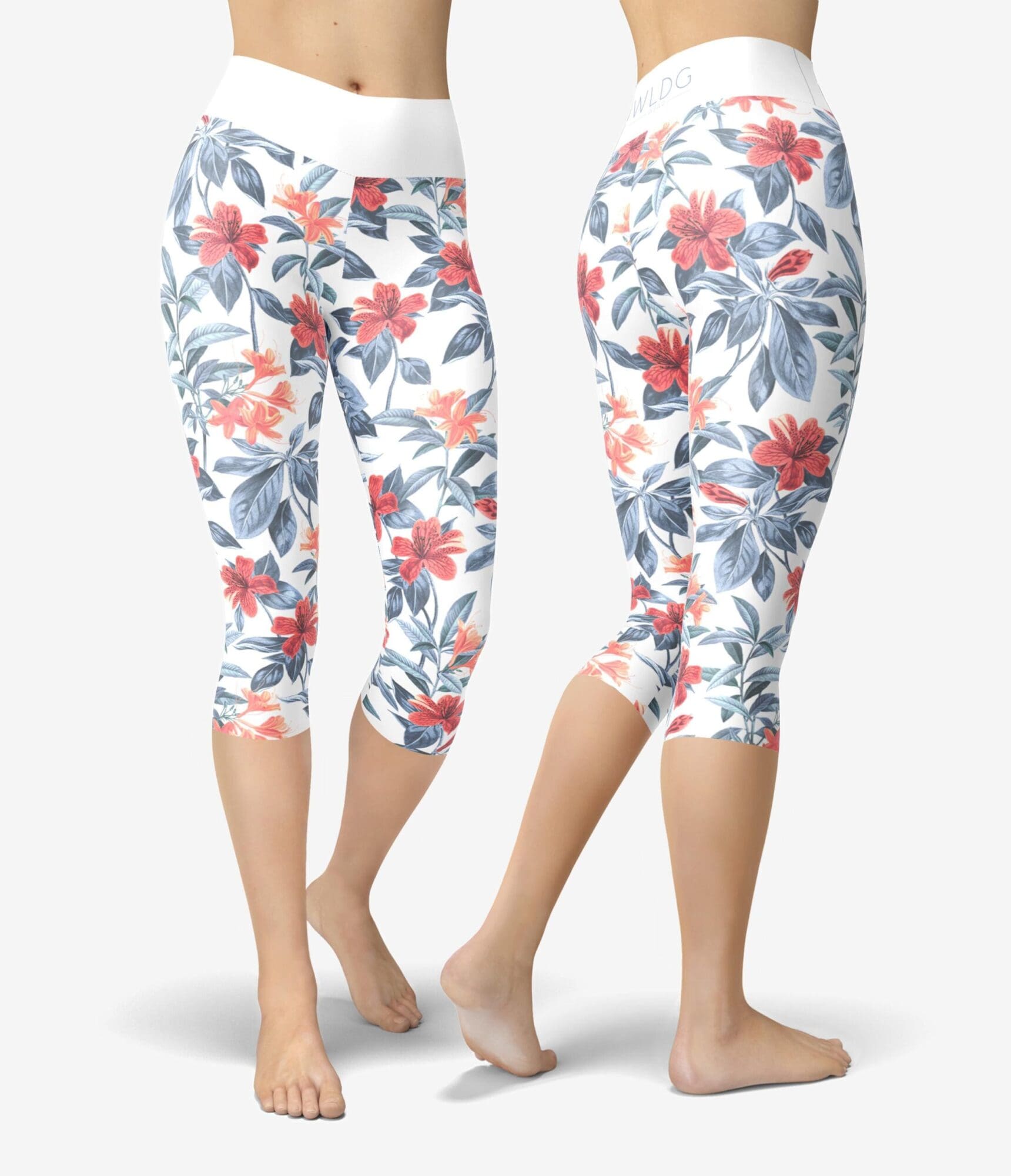 Bermuda Capri
