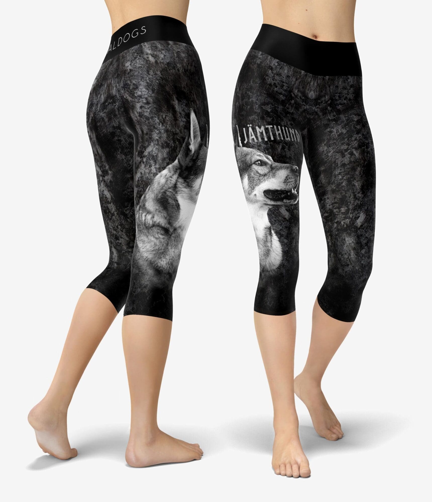 Jämthund Dark Capri