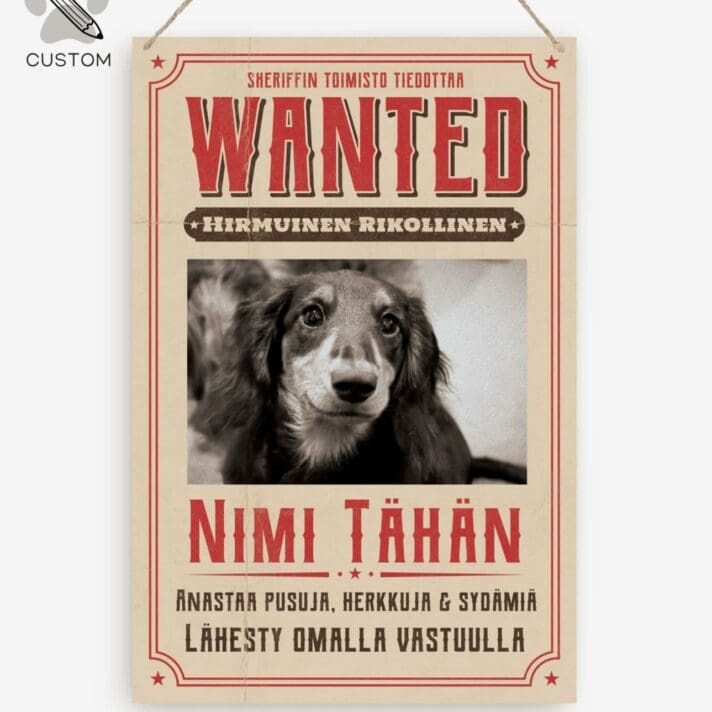 Wanted Sisustustaulu