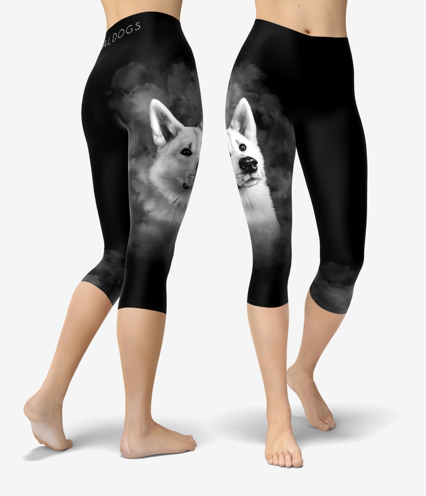 Akita Smoke II Capri
