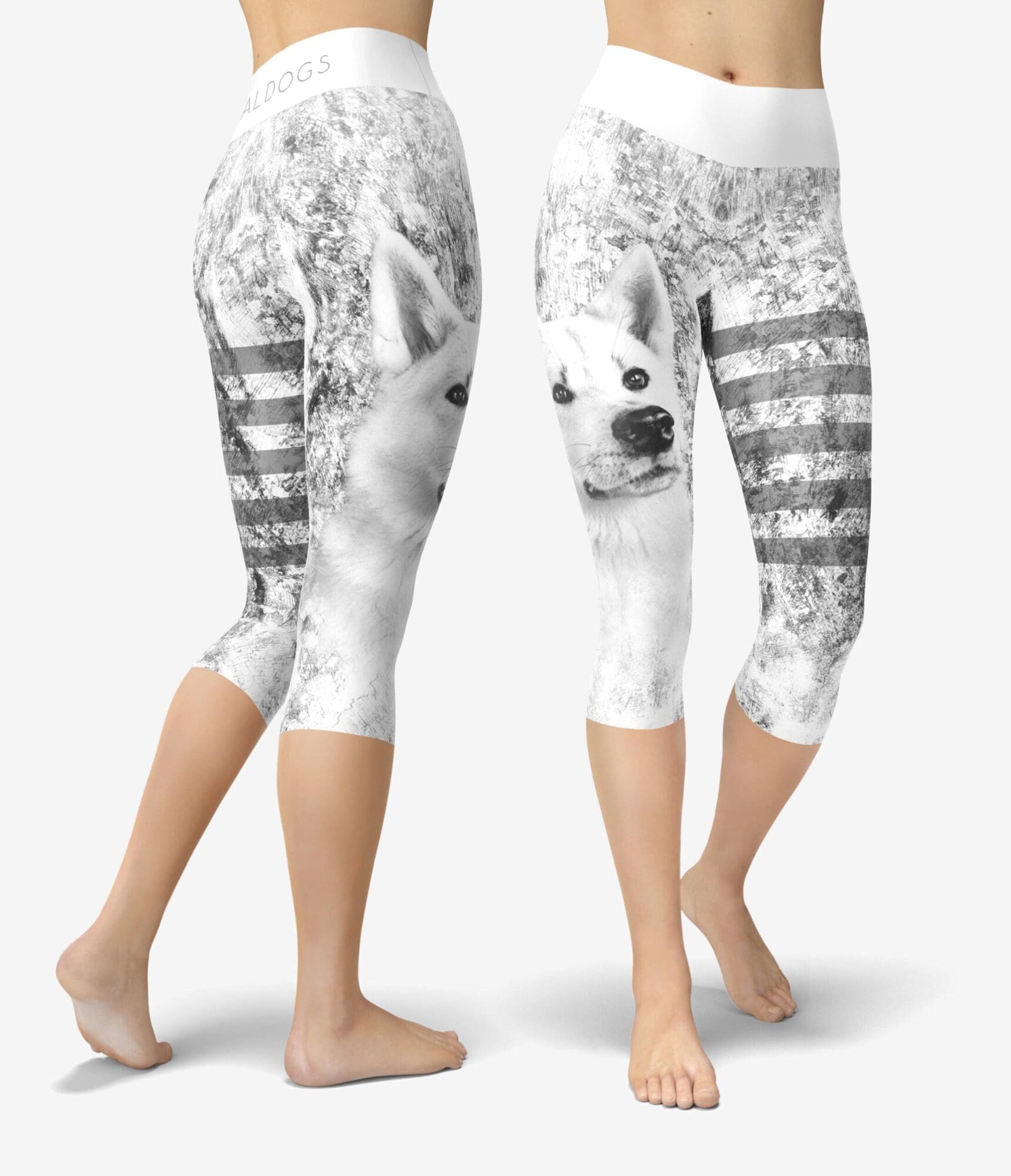 Akita White Capri