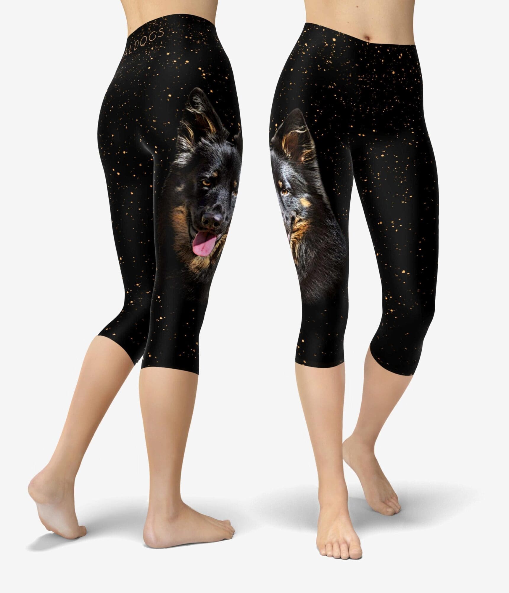 Chodský Gold Star Capri
