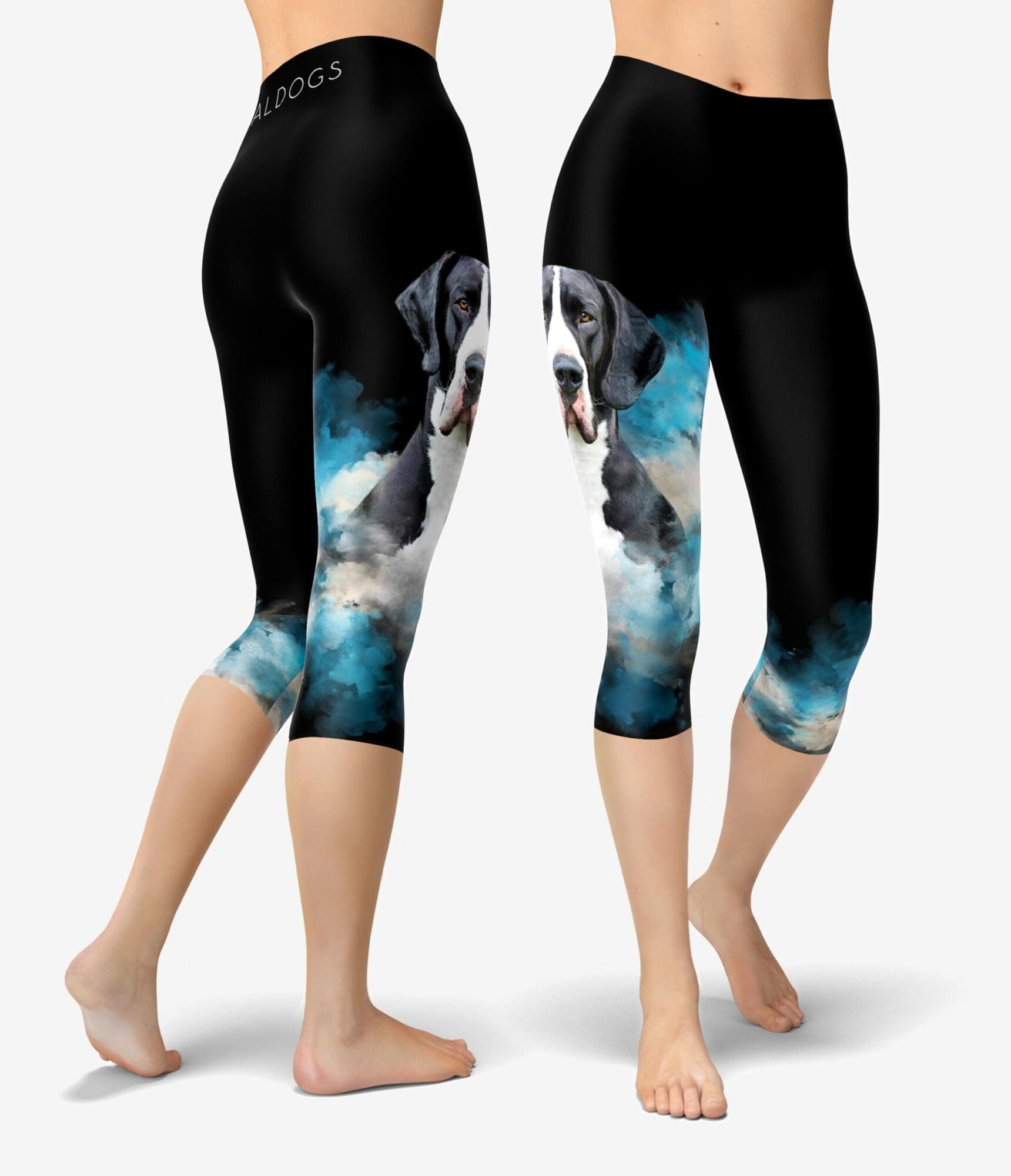 Great Dane Burst Capri Urheilutrikoot