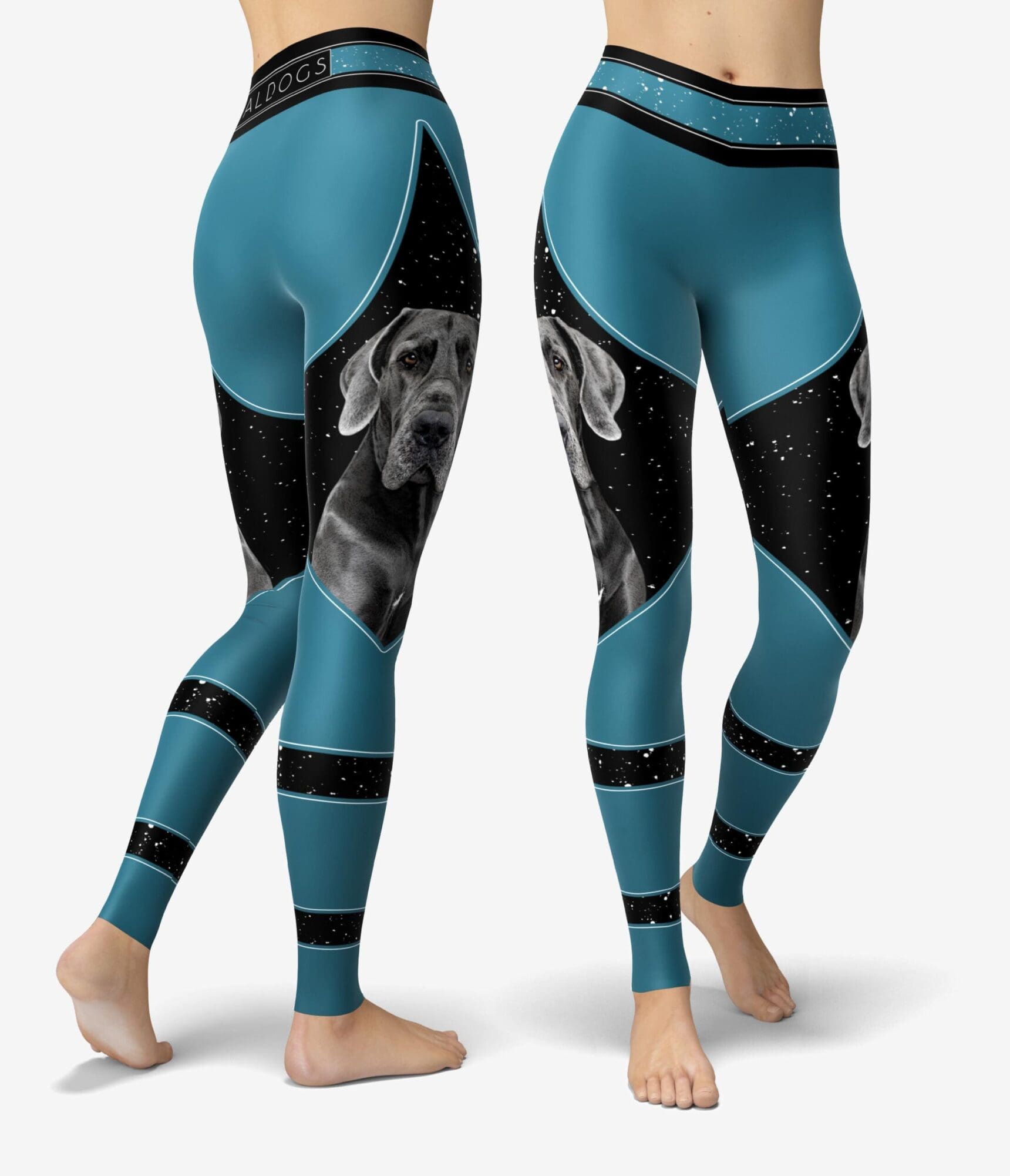 Great Dane Petrol Urheilutrikoot