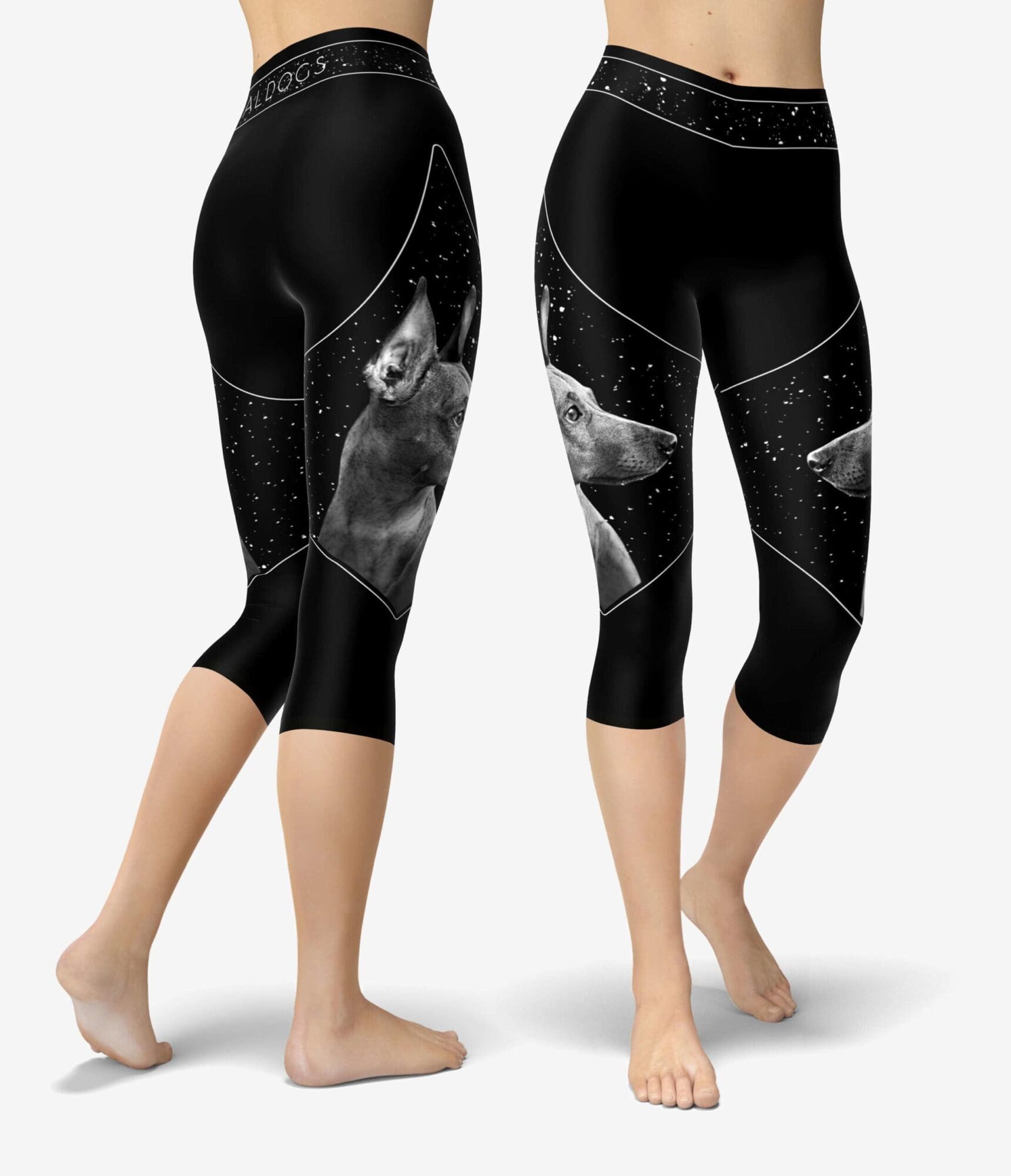 Min Pin Starblock Capri