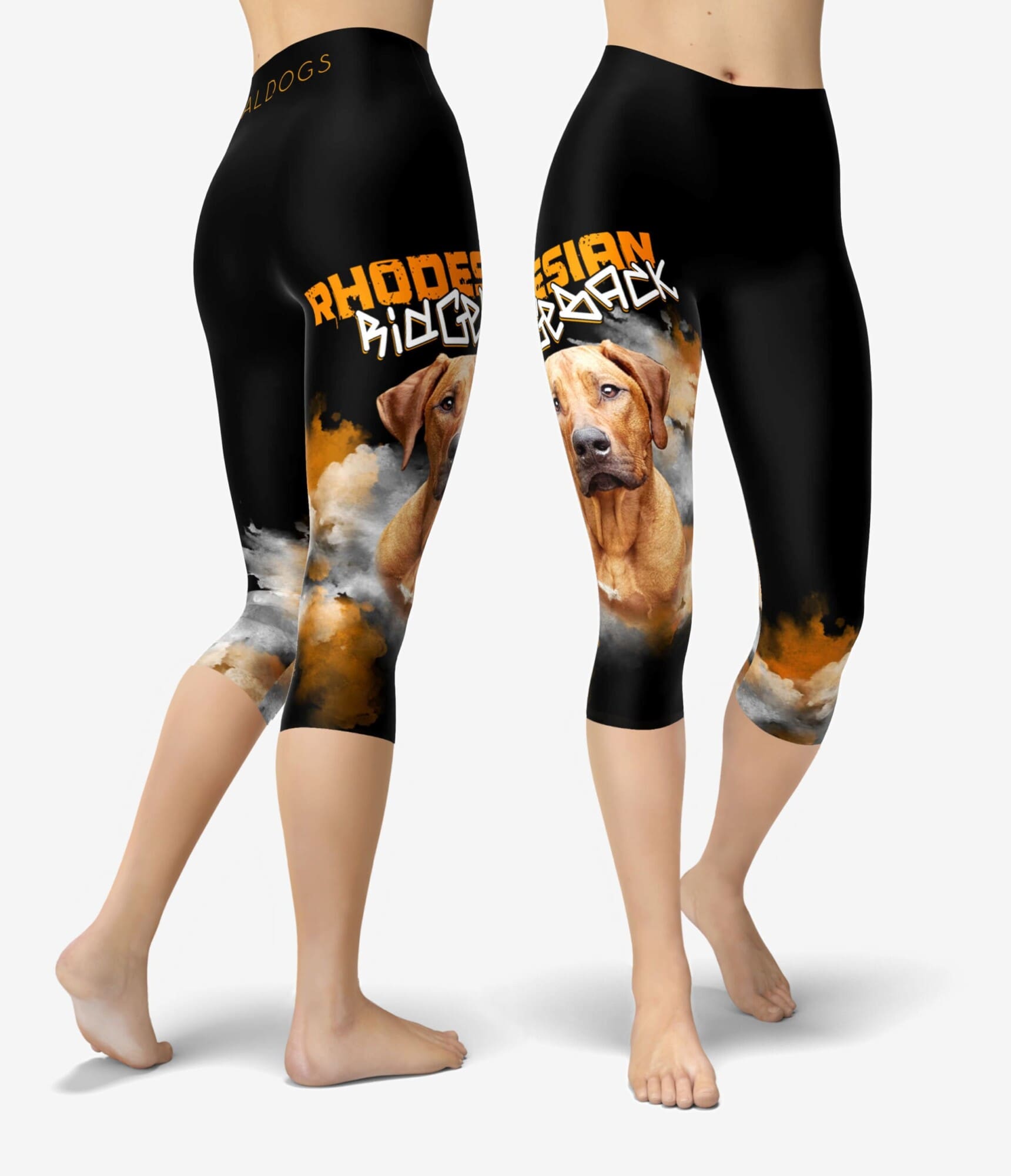 Rhodesian Ridgeback Capri