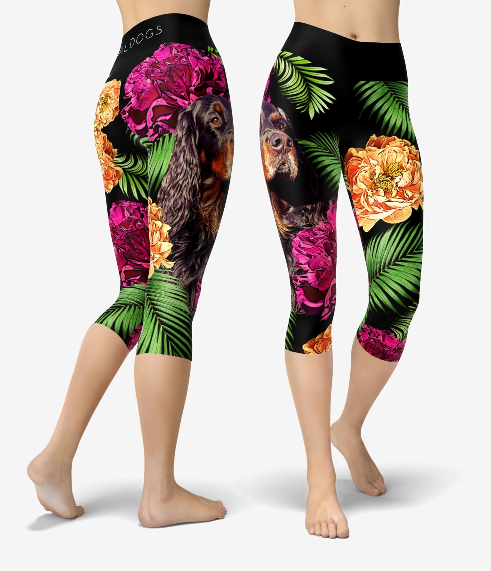 Tropical Gordon Capri