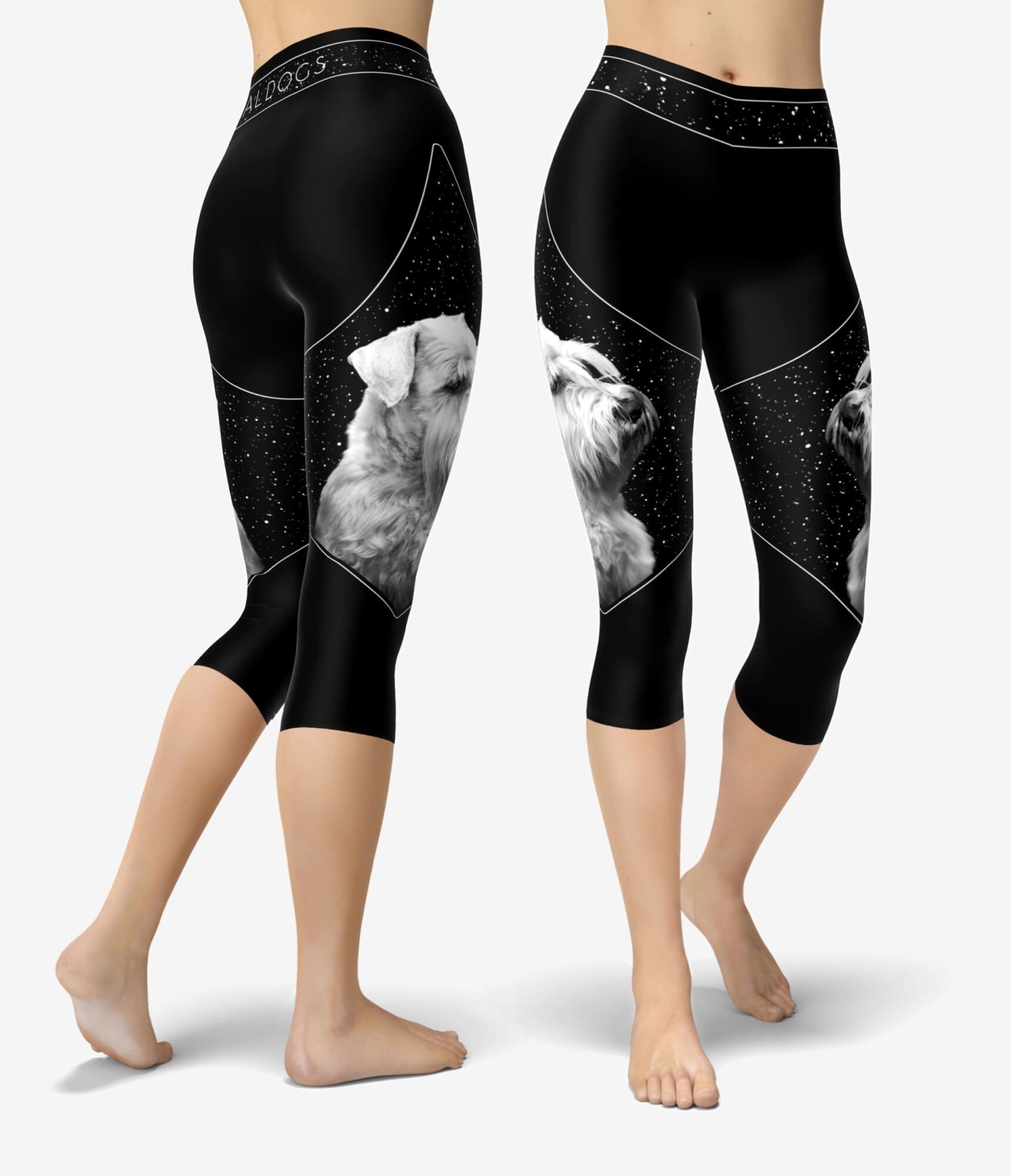 Min Schnauzer Starblock III Capri