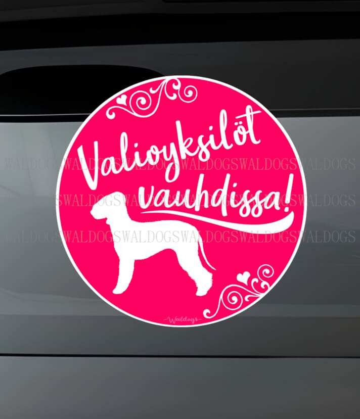 Bedlington Valio Tarra
