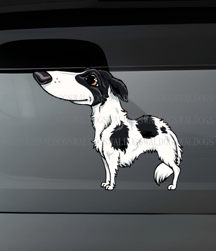 Borzoi IV Tarra
