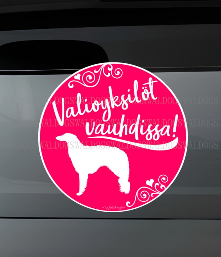Borzoi Valio Tarra