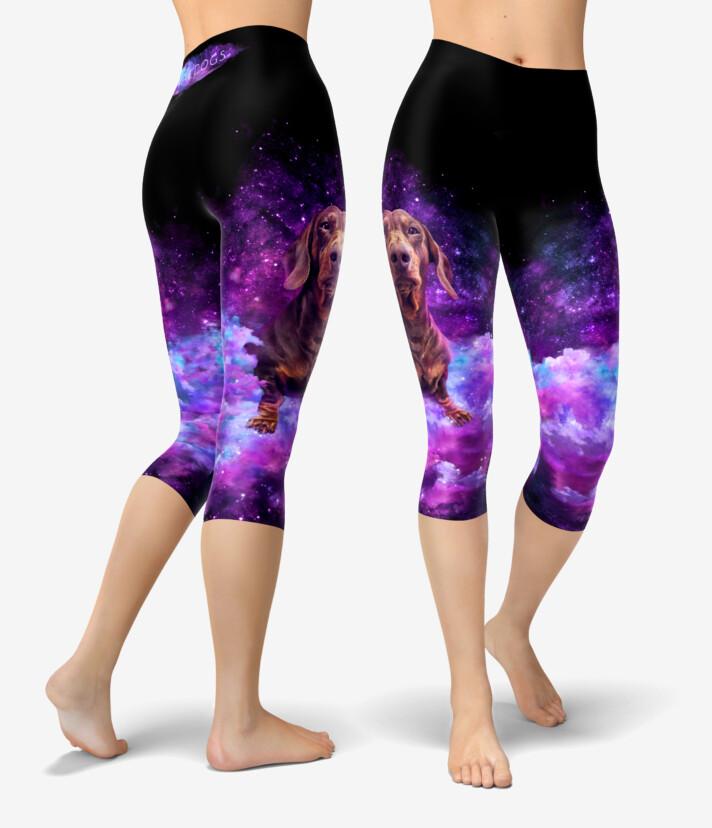 Dachshund II Dream Urheilucaprit