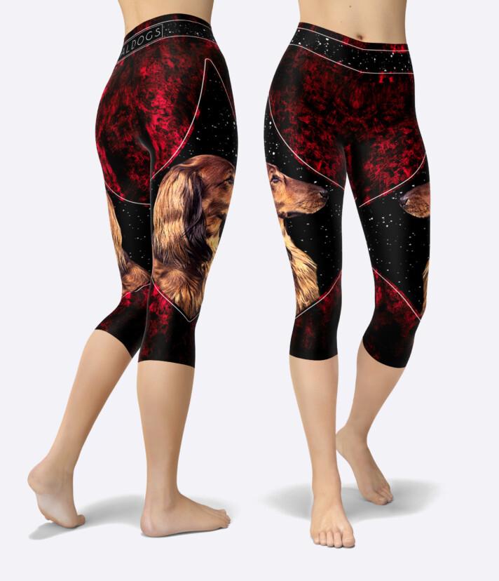 Dachshund Long Crimson Urheilucaprit