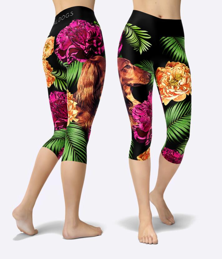 Dachshund Long Tropical Urheilucaprit