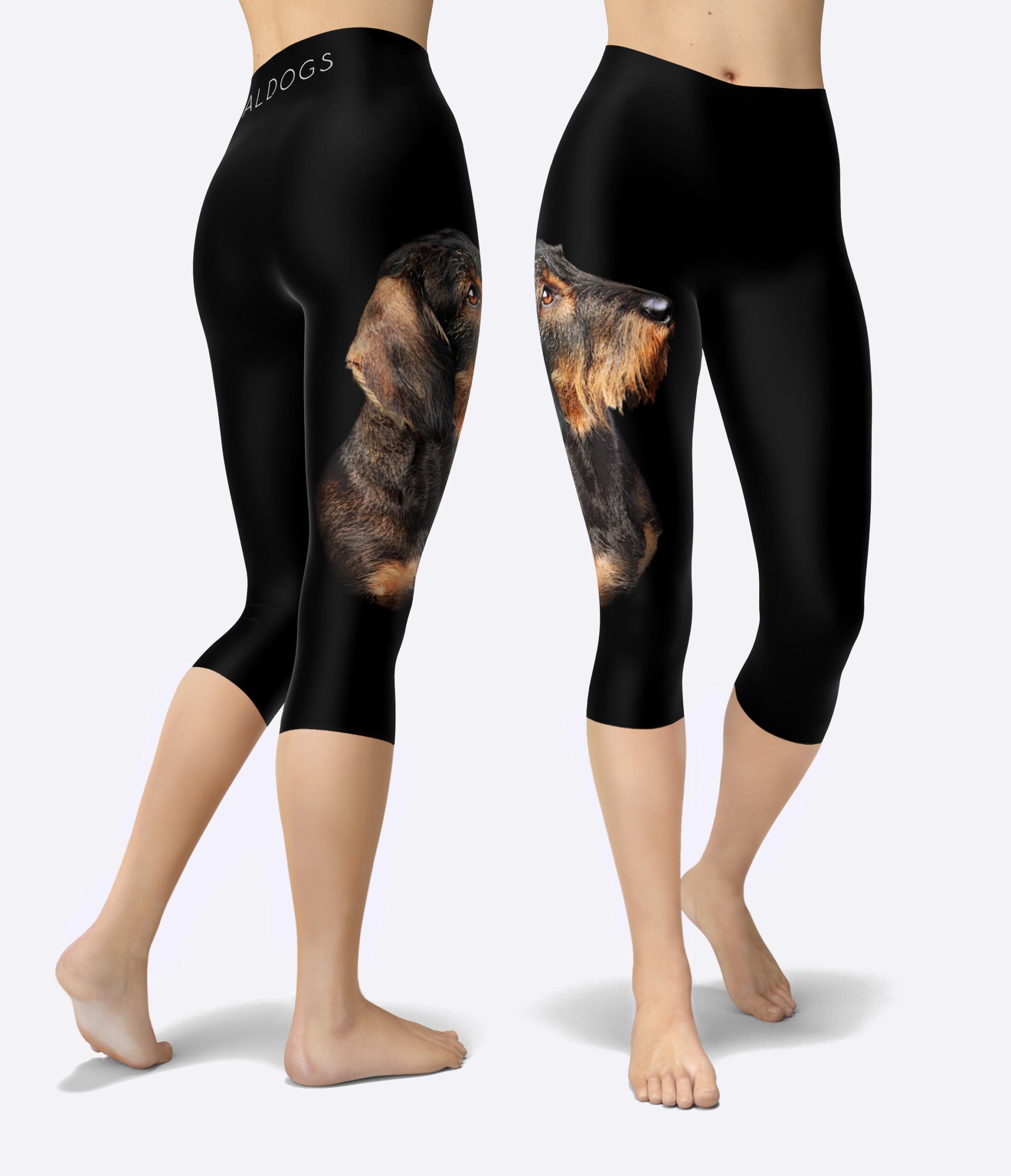 Dachshund Wire Black Urheilucaprit