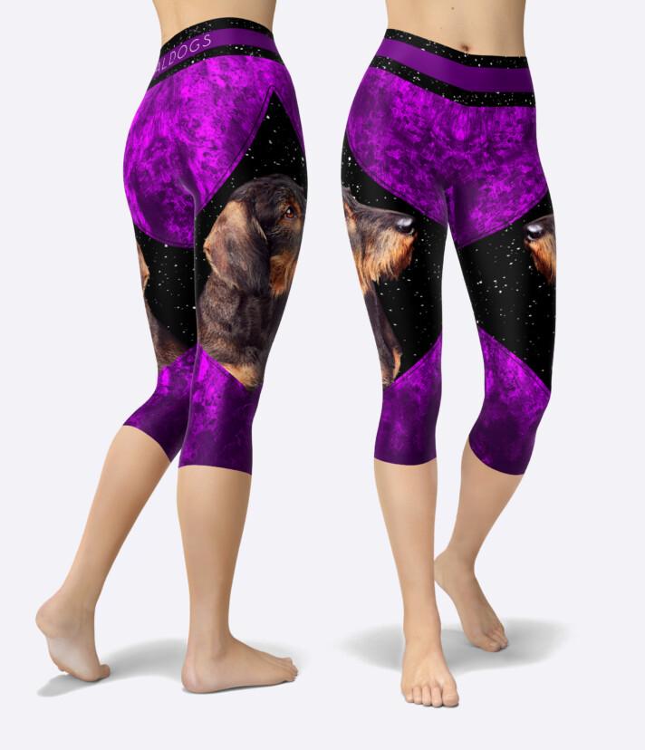 Dachshund Wire Dreamstar Caprit