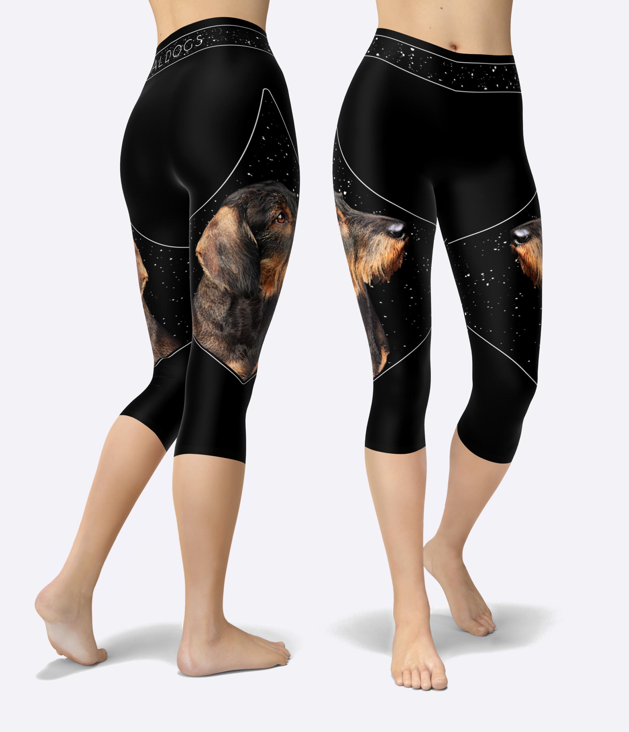 Dachshund Wire Starblock Urheilucaprit