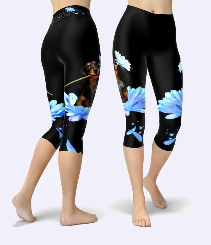 Flowerdachs Blue Urheilucaprit