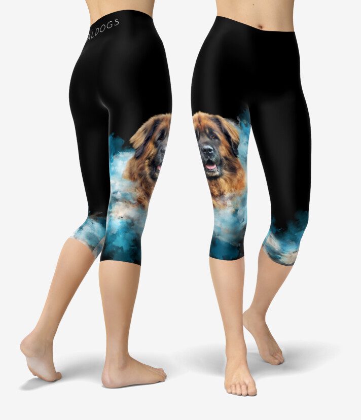 Leonberger Burst Urheilucaprit