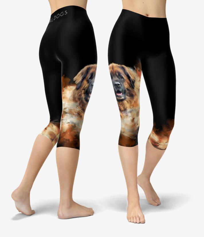 Leonberger Caramel Burst Urheilucaprit