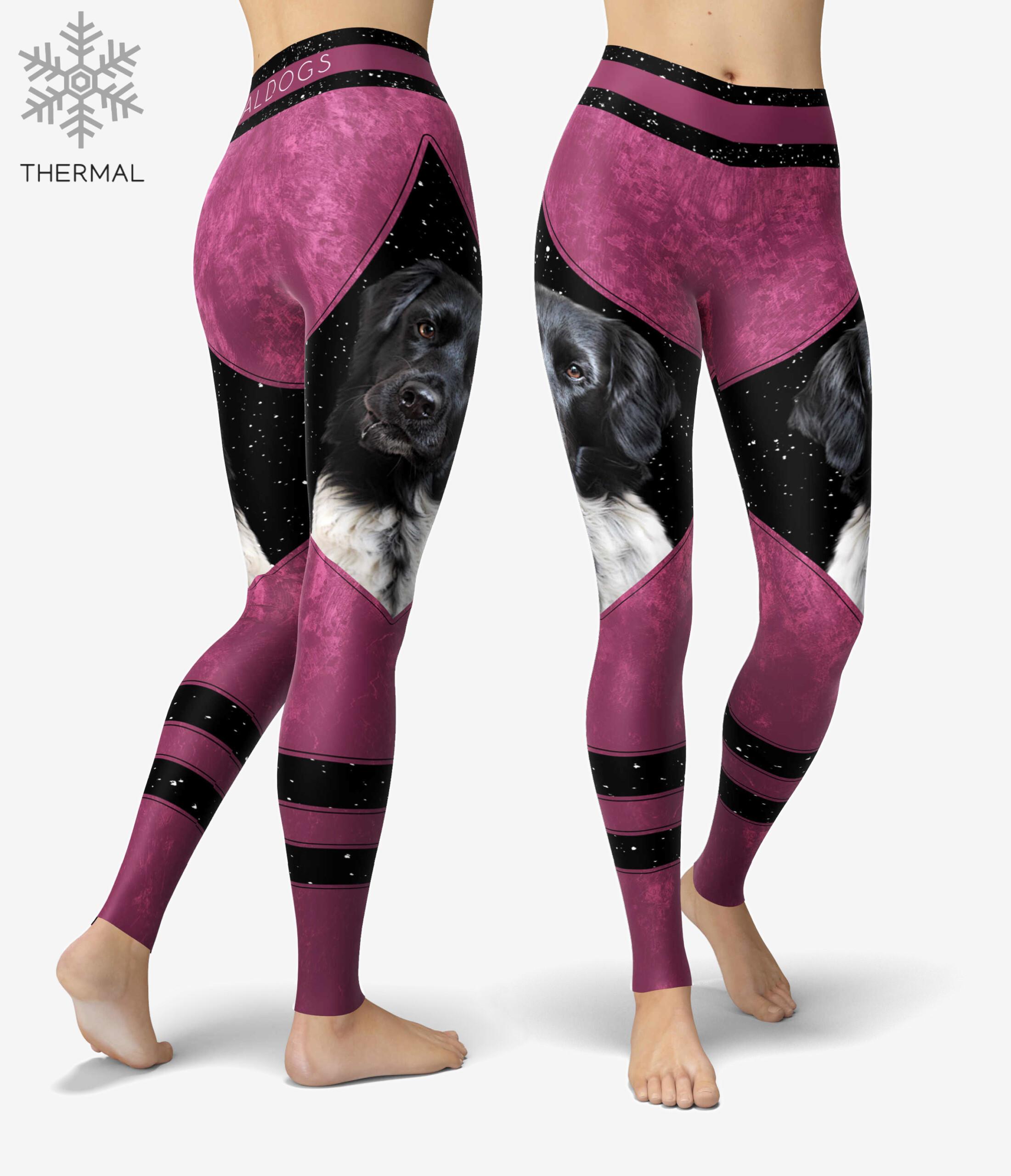 Stabijhoun Berrystar Thermal