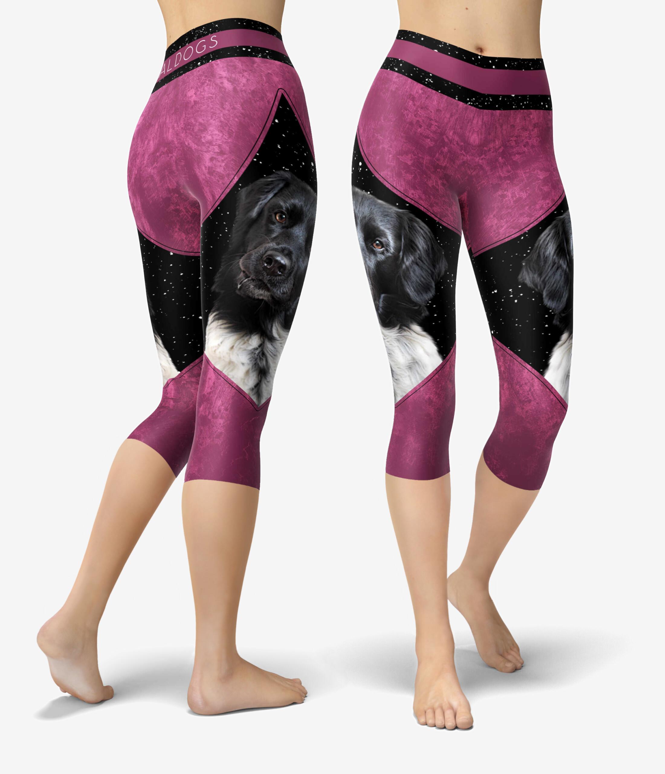 Stabijhoun Berrystar Urheilucaprit