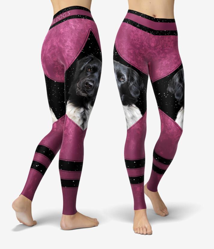 Stabijhoun Berrystar Urheilutrikoot