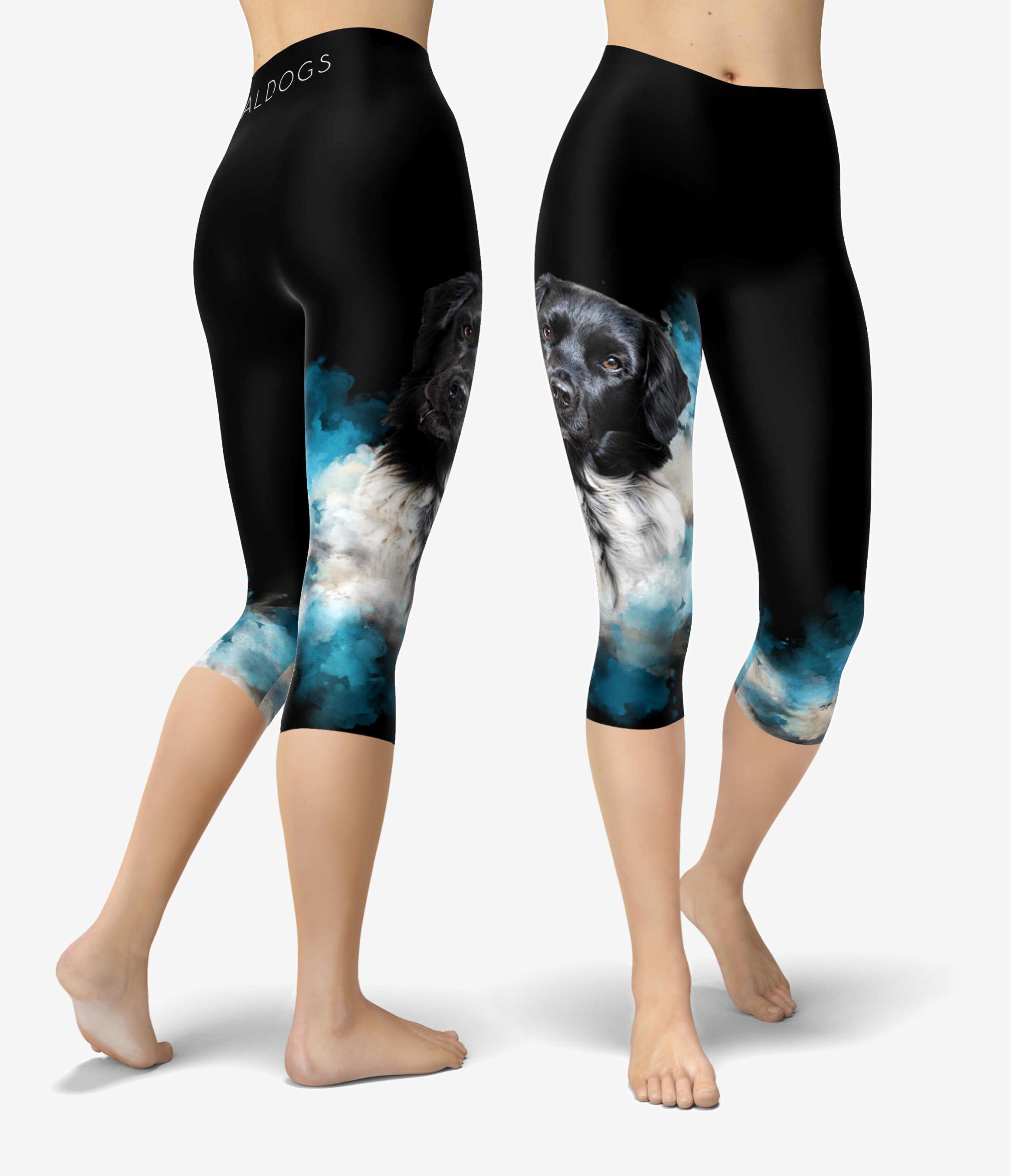 Stabijhoun Burst Urheilucaprit