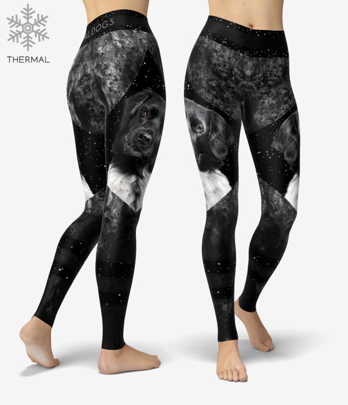 Stabijhoun Darkstar Thermal