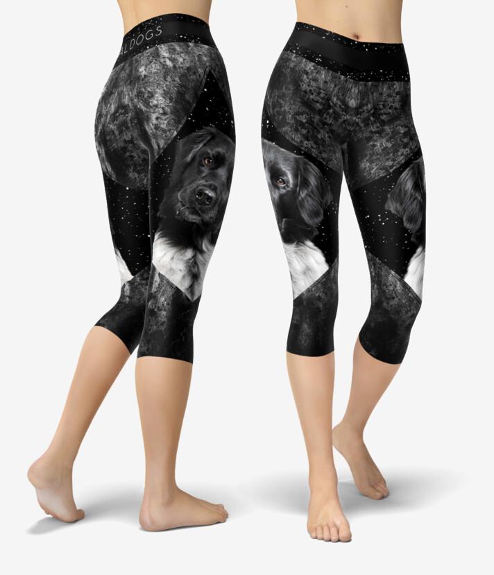 Stabijhoun Darkstar Urheilucaprit