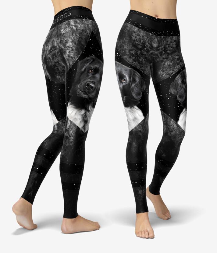 Stabijhoun Darkstar Urheilutrikoot