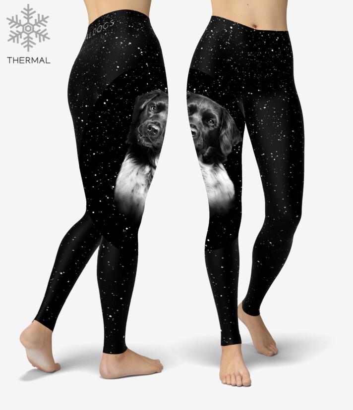 Stabijhoun Stars Thermal