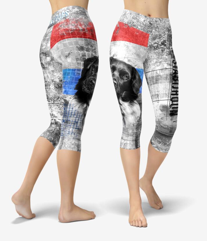 Stabijhoun X Urheilucaprit