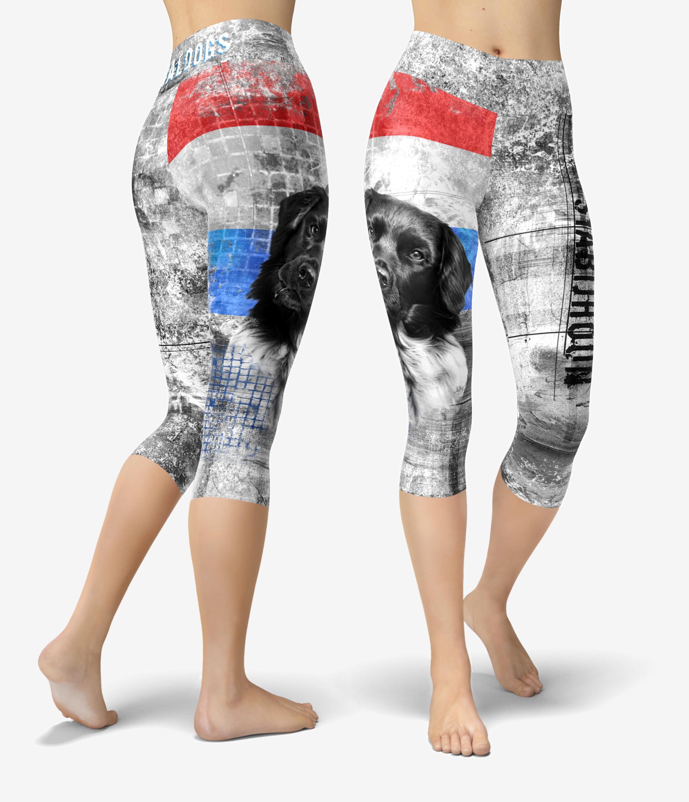 Stabijhoun X Urheilucaprit