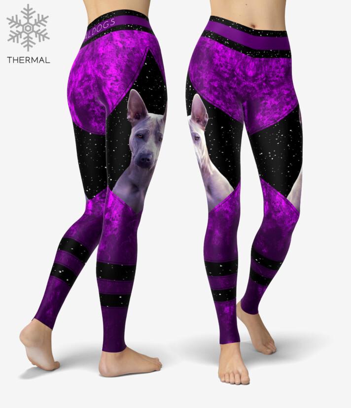 Thai Ridgeback Dreamstar Thermal