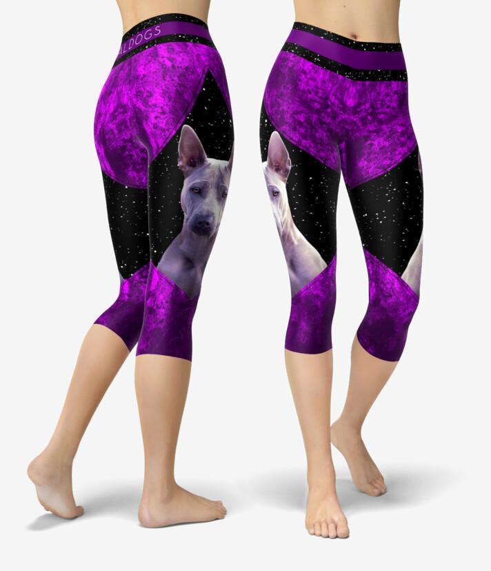 Thai Ridgeback Dreamstar Urheilucaprit