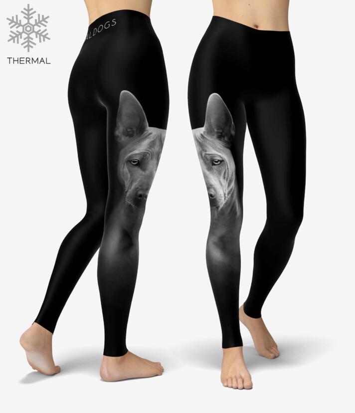 Thai Ridgeback Thermal