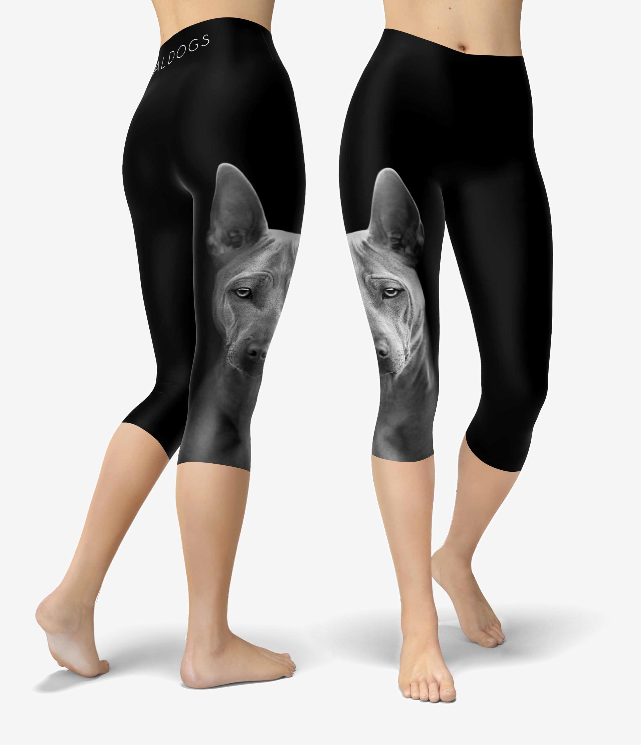 Thai Ridgeback Urheilucaprit